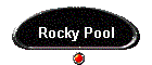 Rocky Pool